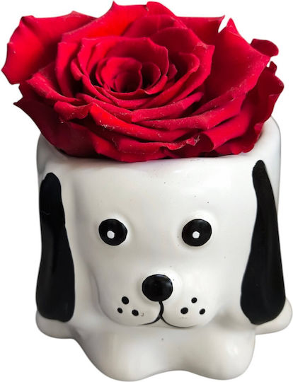 Red All Saints Rose White Black Mini Ceramic Dog H 7cm Milva Flowers
