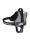 Hobbydog R1 Silk Julletta Popiel
