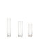Decorative Vase Transparent 6x25cm