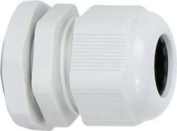 Unimet Drüse Pg29 Ip54 29mm² Kabel Unimet Drüse Pg29 Ip54 29mm² Kabel