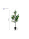 Medrelaxhome Plantă Artificială Decorativă Lămâiță Înălțime 120cm