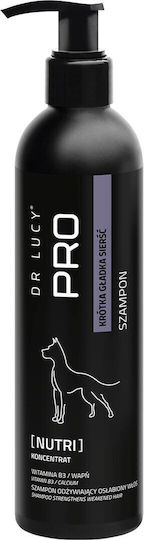 Acrylmed Șampon Reconstrucție/Hrană și Volum 250ml 201gr