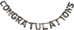 Party Banner Birthday Congratulations 2m