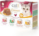 Catit Wet Food for Cats with Chicken 12x75gr