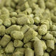 Northern Brewer 8,5%