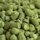 Willamette 4,5%