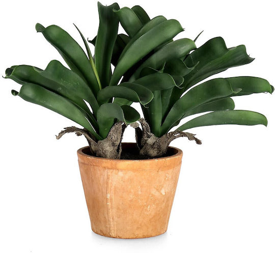 Bizzotto Pineapple Plant W-vase X2tr H43cm 53x40x43h