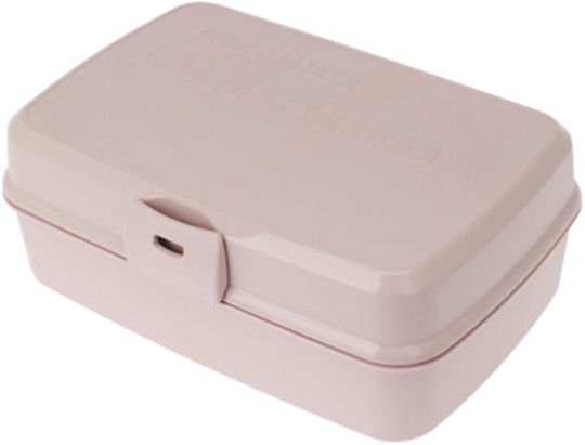 Next Plastic Lunch Box 21x15cm