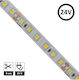 LED Strip 24V 5m