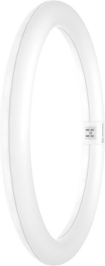Ledvance LED Bulb 18.3W Natural White