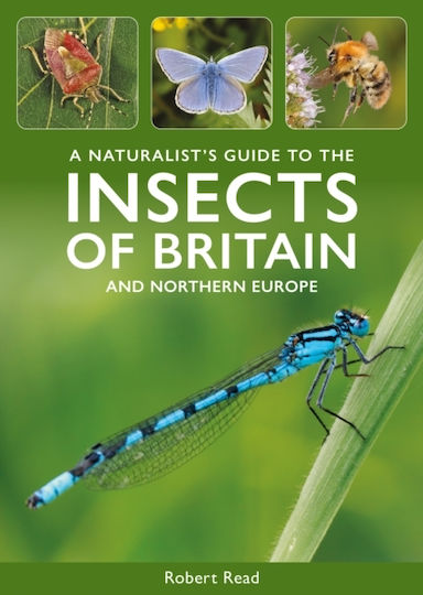 Naturalist's Guide To The Insects Of Britain And Northern Europe - John Beaufoy Publishing Ltd - Paperback / Softback