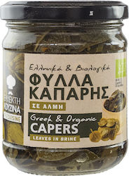 Vio Agros Kapern Salzlake Olivenöl 180gr