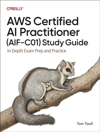 Aws Certified Ai Practitioner (aif-c01) Study Guide - O'reilly Media - Paperback / Softback