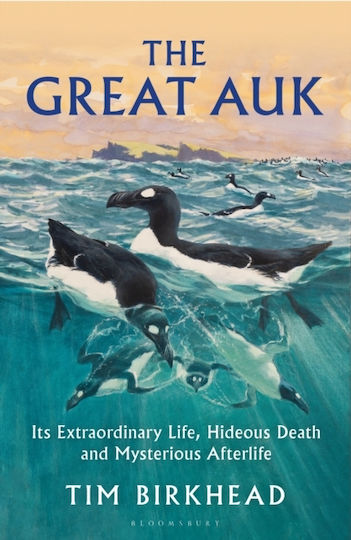 Great Auk - Bloomsbury Publishing Plc - Hardback Great Auk - Bloomsbury Publishing Plc - Hardback