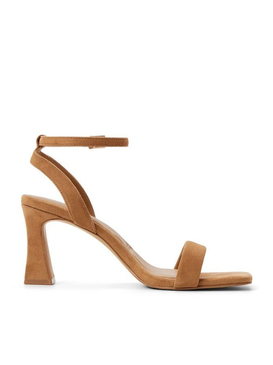 Aldo
