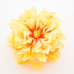 Premium Floral Hair Clip Hibiscus Dream Boho Ap...