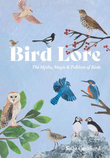 Bird Lore - Quadrille Publishing Ltd - Hardback