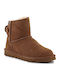 Hickory Suede Women's Ankle Boots Brown