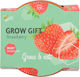 Strawberry Cultivation Kit – Ideal Gift For Children's Party