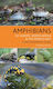 Amphibians Of Europe, North Africa And The Middle East - Bloomsbury Publishing Plc - Paperback / Softback