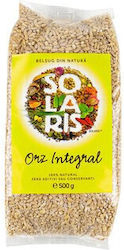 Solaris Plant Semințe De Orz 500gr Solaris Plant Semințe De Orz 500gr