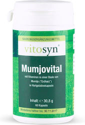 Metapharm Vitosyn Mumjovital 60 Κάψουλες