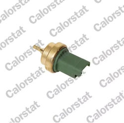 Ws3015 Supapă Temperatură Evacuare Citroen C2 C3 C4 Mini Cooper Verde Vernet Ws3015 Supapă Temperatură Evacuare Citroen C2 C3 C4 Mini Cooper Verde Vernet