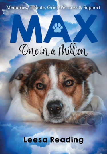 Max: One In A Million - Brown Dog Books - Paperback / Softback Max: One In A Million - Brown Dog Books - Paperback / Softback