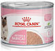 Royal Canin Mother & Babycat Мокра Храна за Котки 6x195гр