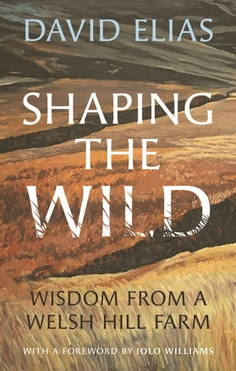 Shaping The Wild - University Of Wales Press - Paperback / Softback