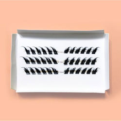 Ili Individual Lashes Foxy