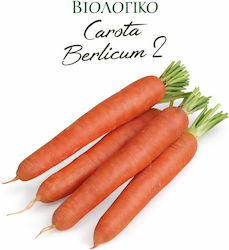 Hortus Sementi Carrot Seeds Orange Organic Cultivation 4gr
