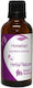Nature & Body Hauptbestandteil Stechginster Tinktur 50ml