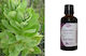 Nature & Body Pflanzliche Nahrungsergänzungsmittel Volumen Common Mullein 50ml