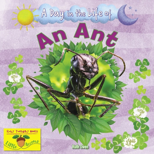 Ant - Ruby Tuesday Books Ltd - Paperback / Softback