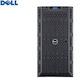 T320 (Xeon /4GB DDR4/96GB HDD + 3.1TB HDD/No OS)