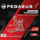 Pegasus Αξεσουάρ Αθλητικών Οργάνων 500ml