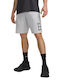 Sport Herren Shorts Grau