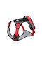 Duomm Hundegeschirr Kein Zug Klein 36-46cm Hals 36-50cm Brust Kokkino