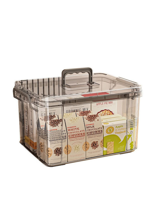 Alista Home Cutie de Depozitare Din Plastic Cu Roți și Capac Transparent 38.5x27x22cm