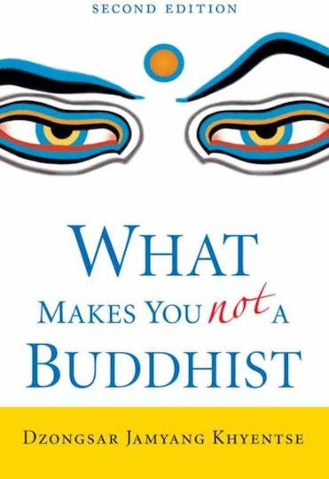 What Makes You Not A Buddhist - Shambhala Publications Inc - Paperback / Softback