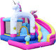Fun Baby Inflatable With Trampoline