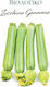 Hortus Sementi Pumpkin Seeds for Blossom Biological Cultivation 5gr