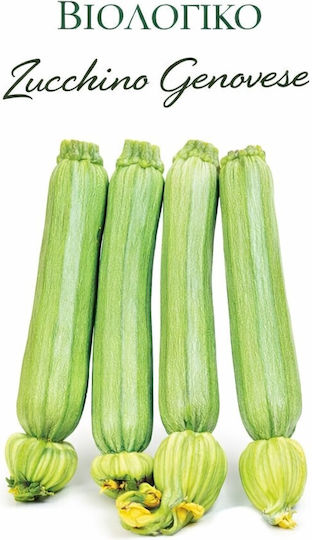 Hortus Sementi Pumpkin Seeds for Blossom Biological Cultivation 5gr