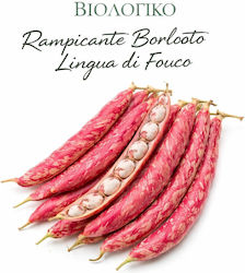 Hortus Sementi Red Beans Seeds Biological Cultivation 20gr