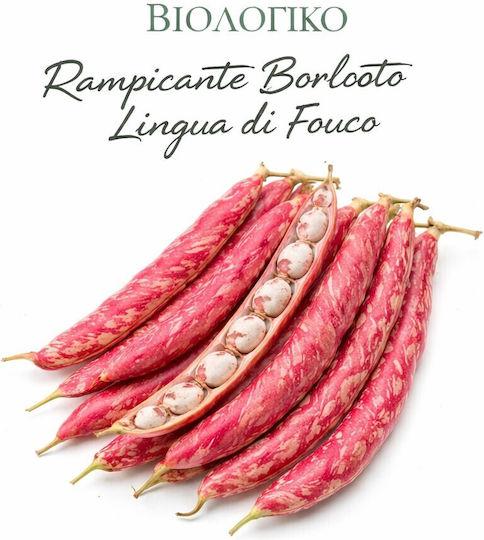 Hortus Sementi Semințe De Fasole Roșie Organică 20gr