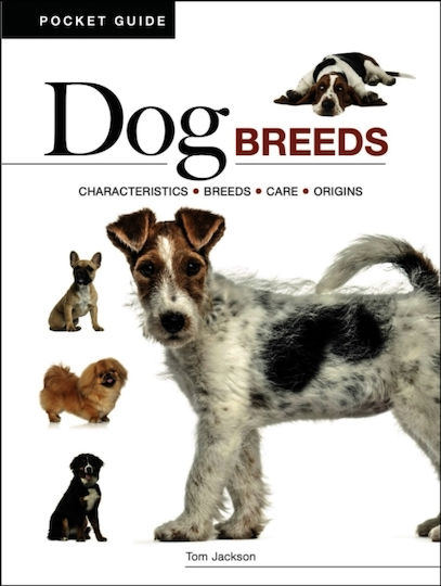 Dog Breeds - Amber Books Ltd - Paperback / Softback Dog Breeds - Amber Books Ltd - Paperback / Softback