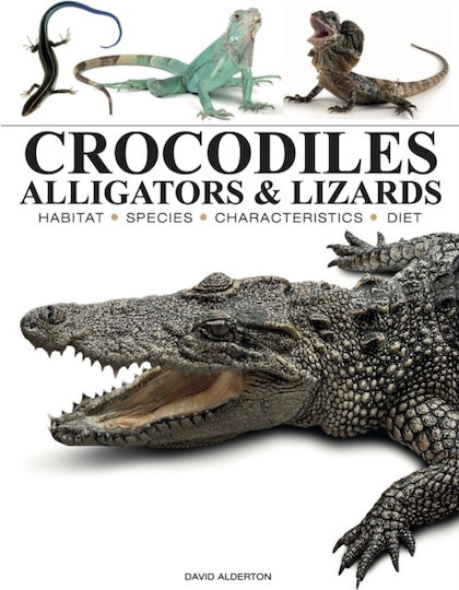 Crocodiles, Alligators & Lizards - Amber Books Ltd - Paperback / Softback