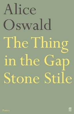 The Thing In The Gap Stone Stile Alice Oswald Faber & Faber