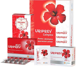 Hyllan Pharma Uriprev Complex 80gr 10 Capsule 12 Plicuri Hyllan Pharma Uriprev Complex 80gr 10 Capsule 12 Plicuri